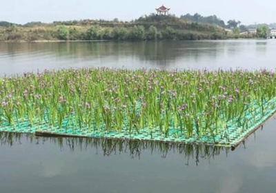 人工浮島探秘 河流生態(tài)浮島的作用與恢復(fù)時(shí)長解析