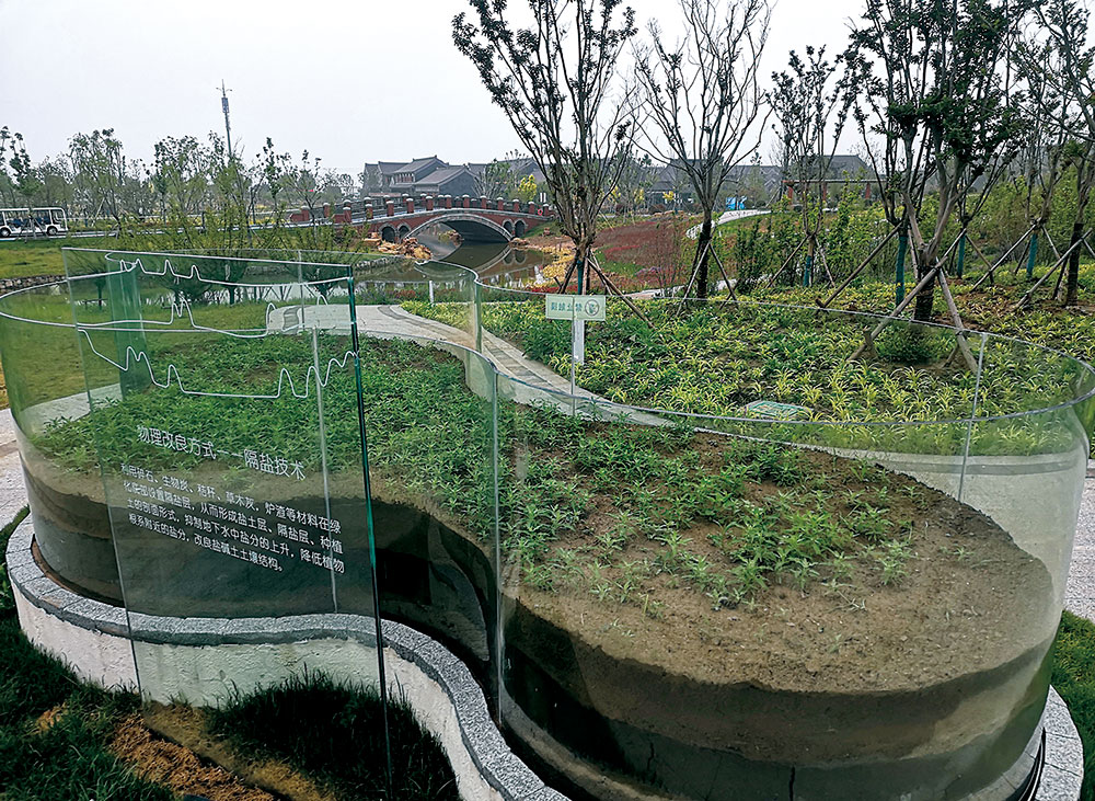 科技匠心繪就生態(tài)桃花源——連云港園博園鹽堿地生態(tài)修復(fù)的探索與實(shí)踐