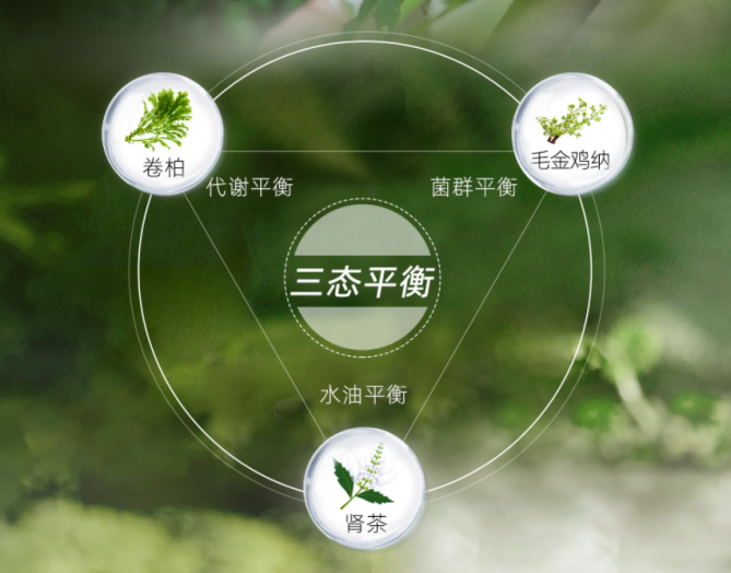 舒霖頭皮&ldquo;三態(tài)平衡&rdquo;理念成為中國頭皮護(hù)理行業(yè)標(biāo)桿